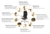 169fc31ae57362.png