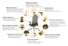 169fc32298575b.png
