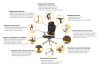 169fc331a18535.png