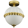 162b19bdc77a2a.png