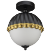 162b1939a20cfe.png