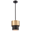 165965f11707c1.png